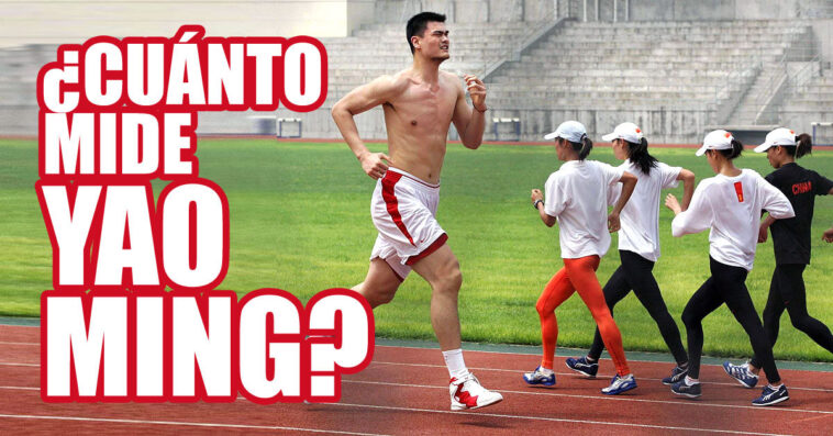 Si no sabes cuánto mide Yao Ming, te lo contamos ahora. El ex jugador chino NBA no dejó indiferentes a los aficionados al baloncesto.