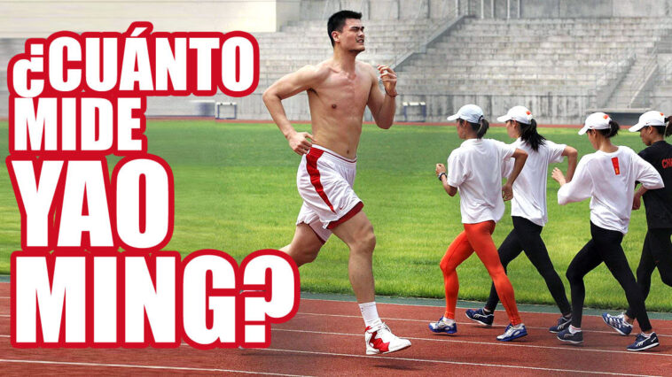 Si no sabes cuánto mide Yao Ming, te lo contamos ahora. El ex jugador chino NBA no dejó indiferentes a los aficionados al baloncesto.