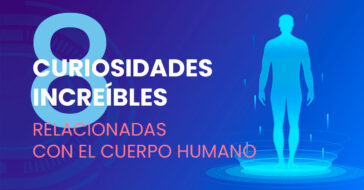 El cuerpo humano y sus partes aún no se conocen. Te mostramos 7 curiosidades del cuerpo humano ¿Conoces todos los datos curiosos sobre el cuerpo humano?