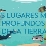 Si no sabes cuál es la profundidad de la fosa de las marianas lee este artículo. Hay 5 fosas donde el hombre todavía no ha descubierto lo que esconden.