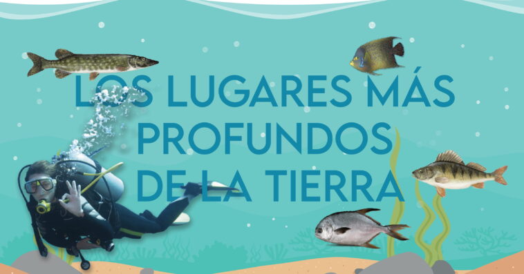 Si no sabes cuál es la profundidad de la fosa de las marianas lee este artículo. Hay 5 fosas donde el hombre todavía no ha descubierto lo que esconden.