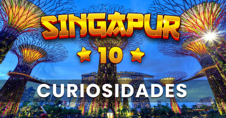 Si no sabes qué ver en Singapur nosotros te lo contamos. Pocos son los que saben qué hacer en Singapur o qué visitar en Singapur. No te arrepentirás de ir.