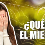 Saber detectar el miedo y actuar ante él no es fácil. ¿Qué es el miedo?. En este artículo veremos los distintos miedos y como actuar ante ellos.