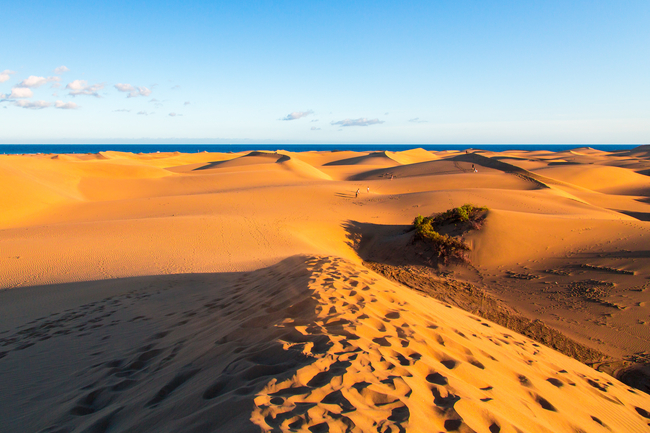 dunas de maspalomas