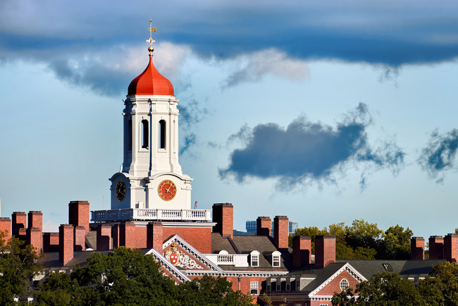 harvard university