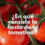 Todos habrán escuchado alguna vez hablar de la fiesta de la tomatina. Pero, ¿sabes exactamente qué es? En este artículo te lo explicamos detalladamente.