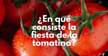 Todos habrán escuchado alguna vez hablar de la fiesta de la tomatina. Pero, ¿sabes exactamente qué es? En este artículo te lo explicamos detalladamente.