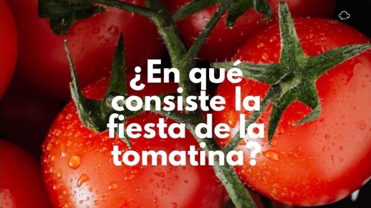 Todos habrán escuchado alguna vez hablar de la fiesta de la tomatina. Pero, ¿sabes exactamente qué es? En este artículo te lo explicamos detalladamente.