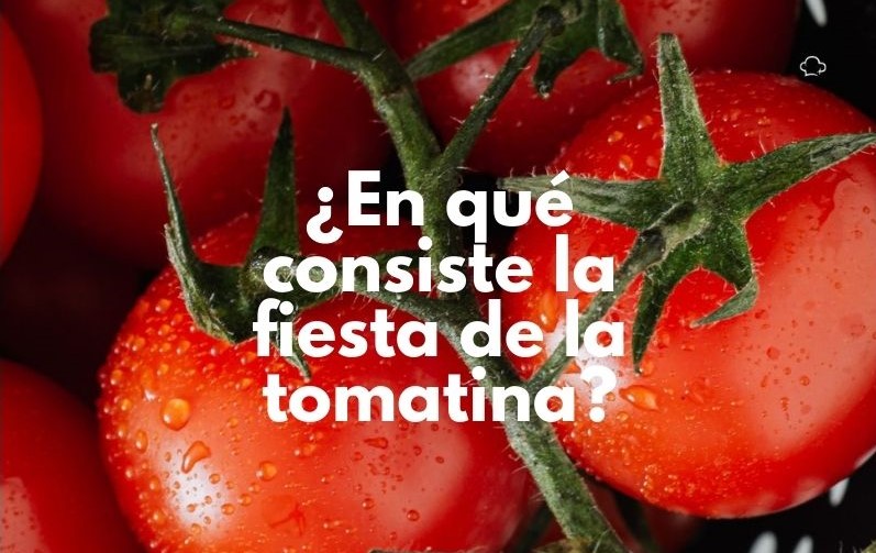 Todos habrán escuchado alguna vez hablar de la fiesta de la tomatina. Pero, ¿sabes exactamente qué es? En este artículo te lo explicamos detalladamente.