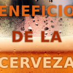 Los beneficios de la cerveza son muchos. Probablemente, no los conoces todos. Así que, éste es tu artículo para descubrirlos. ¡Beberás más alegre aún!