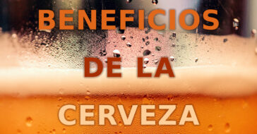 Los beneficios de la cerveza son muchos. Probablemente, no los conoces todos. Así que, éste es tu artículo para descubrirlos. ¡Beberás más alegre aún!