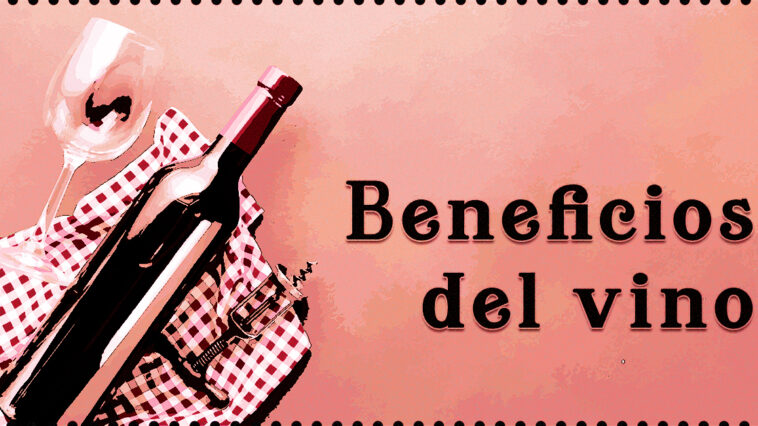 Cada vez se conocen mejor los beneficios del vino. Ya sea tinto o blanco, podemos deleitarnos favoreciendo el buen funcionamiento de nuestro organismo