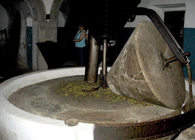 cómo se hace el aceite de oliva