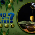 Si no sabes cómo se hace el aceite de oliva lee este artículo. Para muchos, es el producto nacional por antonomasia. Para otros, una delica para el paladar.