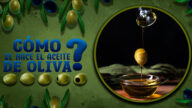 Si no sabes cómo se hace el aceite de oliva lee este artículo. Para muchos, es el producto nacional por antonomasia. Para otros, una delica para el paladar.