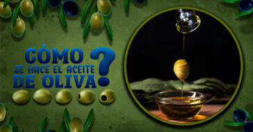 Si no sabes cómo se hace el aceite de oliva lee este artículo. Para muchos, es el producto nacional por antonomasia. Para otros, una delica para el paladar.
