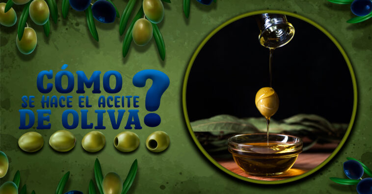 Si no sabes cómo se hace el aceite de oliva lee este artículo. Para muchos, es el producto nacional por antonomasia. Para otros, una delica para el paladar.