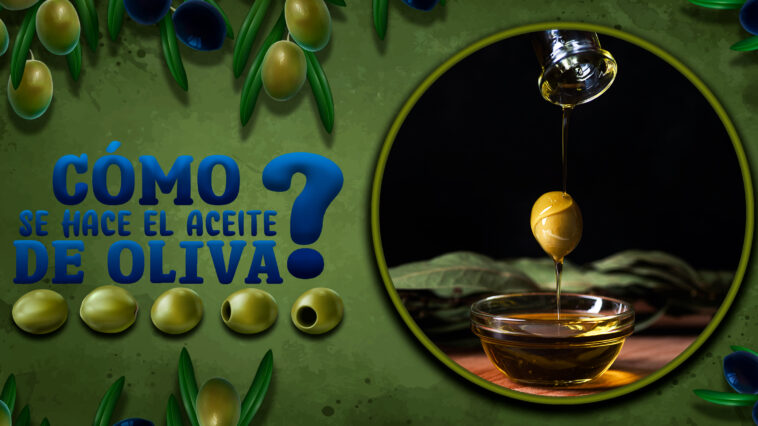 Si no sabes cómo se hace el aceite de oliva lee este artículo. Para muchos, es el producto nacional por antonomasia. Para otros, una delica para el paladar.