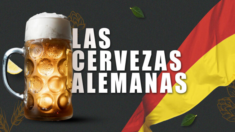La cerveza alemana goza de gran popularidad. En casi todos los supermercados podemos encontrarla. Si eres un amante de la birra lee este artículo.