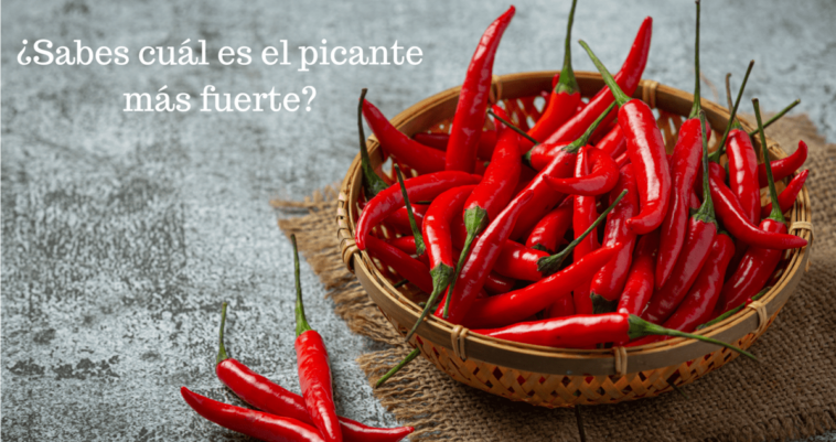 Si no sabes cuál es el picante más fuerte del mundo, debes leer todo el contenido que te ofrecemos. Vas a querer probar alguno de ellos seguro :)