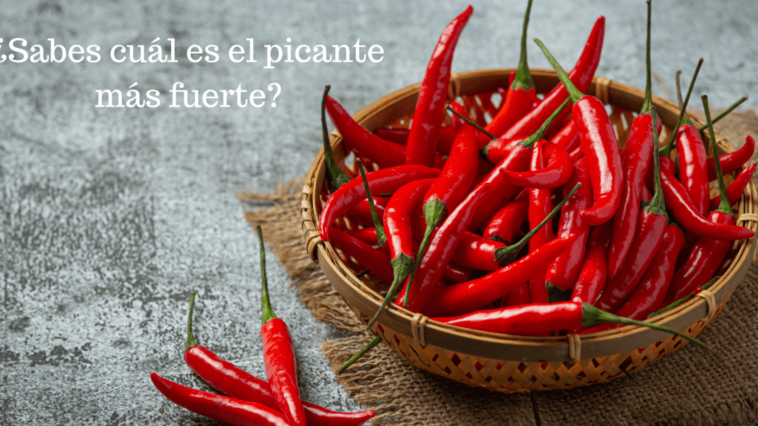 Si no sabes cuál es el picante más fuerte del mundo, debes leer todo el contenido que te ofrecemos. Vas a querer probar alguno de ellos seguro :)