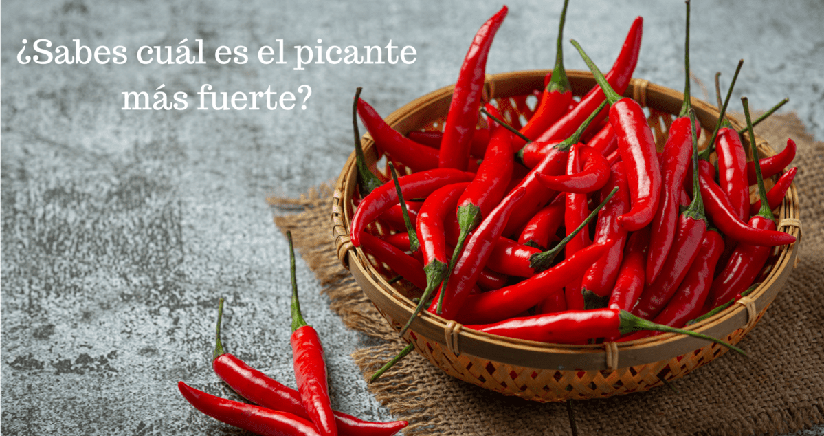 Si no sabes cuál es el picante más fuerte del mundo, debes leer todo el contenido que te ofrecemos. Vas a querer probar alguno de ellos seguro :)